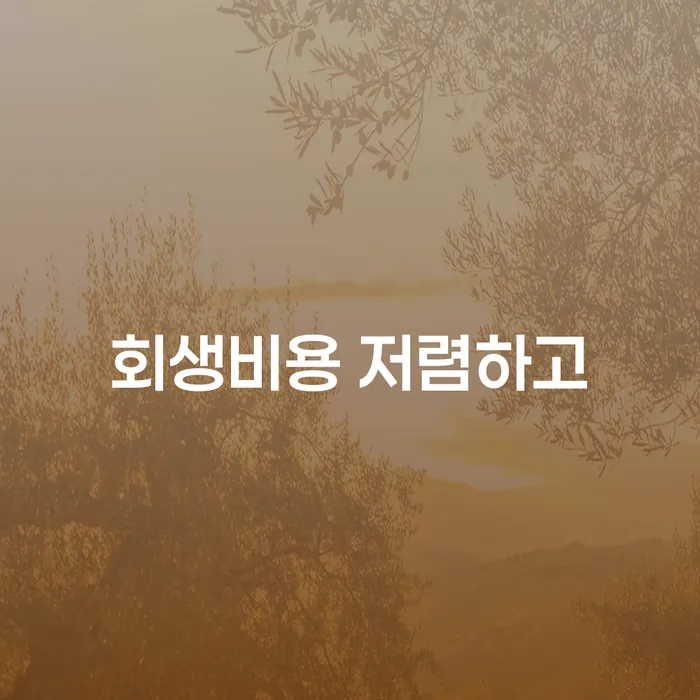 법인대표대출 연체 시 추심 대응법 법무사추천