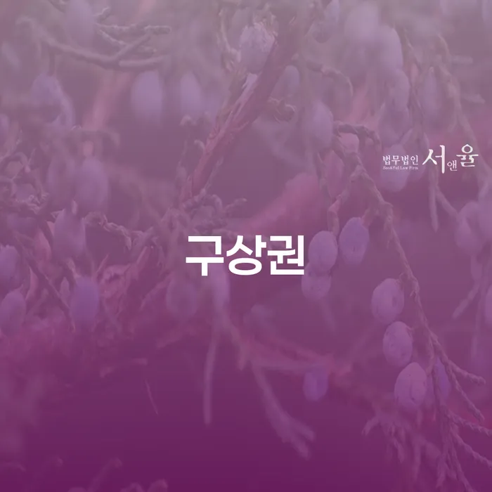 파산 채무 효과적인 해결방법 검토를 한 다음에는