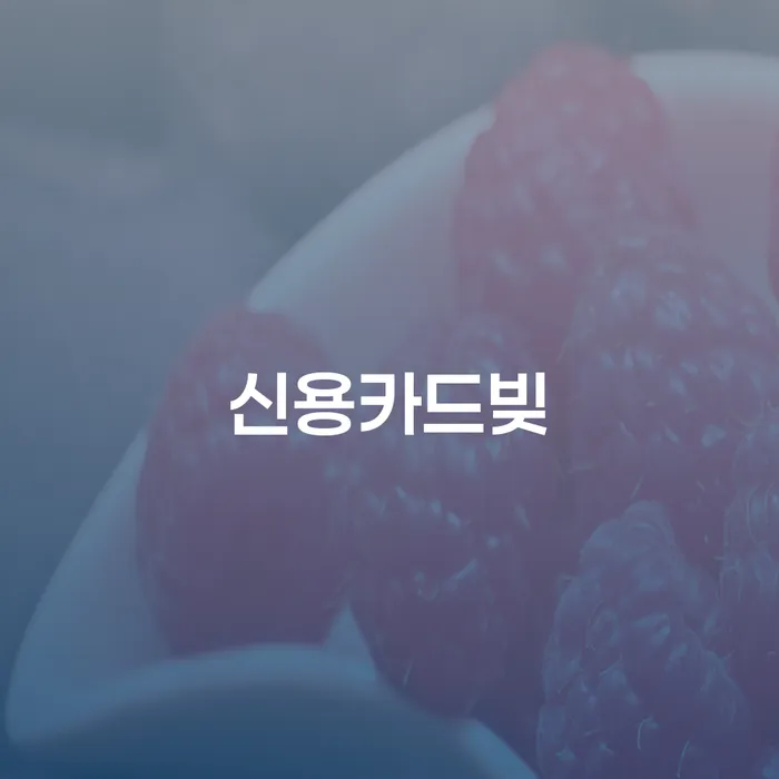 파산신청변호사 개인회생으로 현명하게 핵심요약