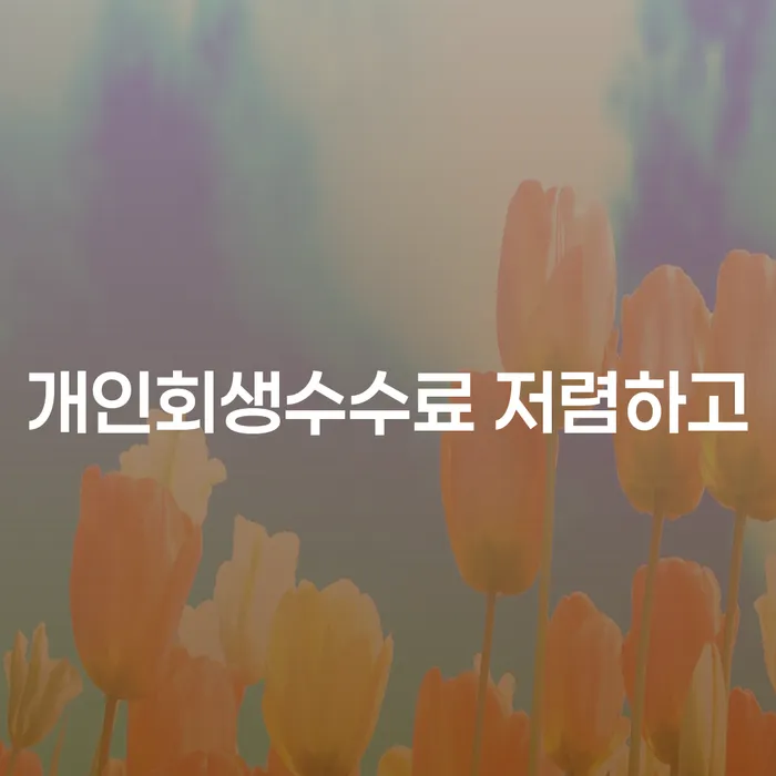 개인회생신청기간 개인회생으로 방법 신청했을 경우