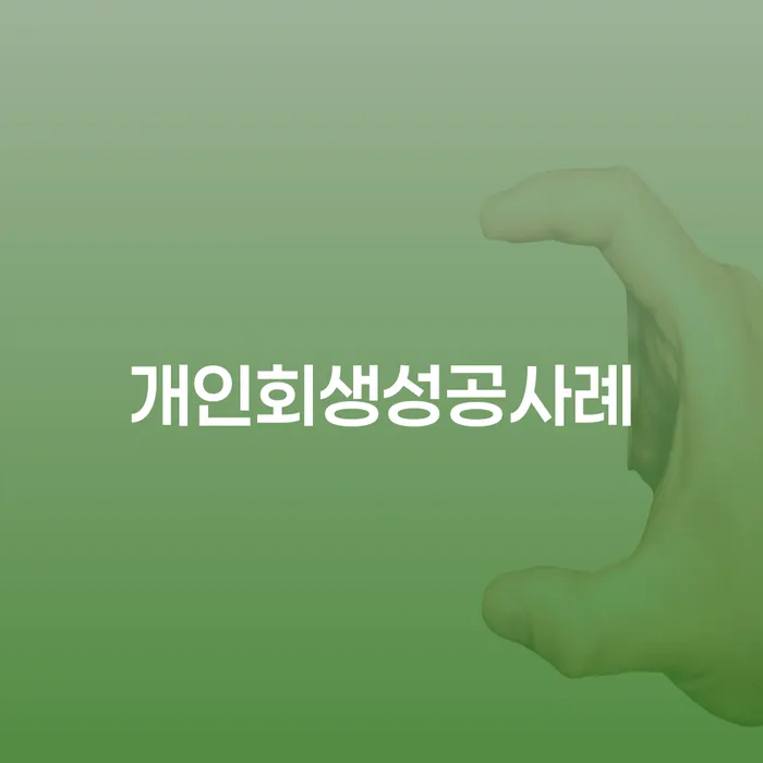 나홀로개인회생 빚갚는 방법 정확한상담을