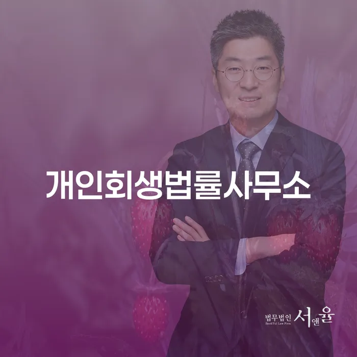 회생비용 저렴하고 분납이 가능한 채무조정제도을 이용하여 잘하는 법무법인