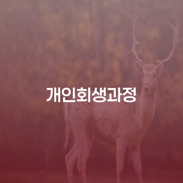 개인회생파산비용 대출 받은 돈채무조정 정해지는