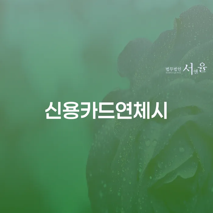 무료개인회생상담 빚갚는 방법 추전하는 사무소