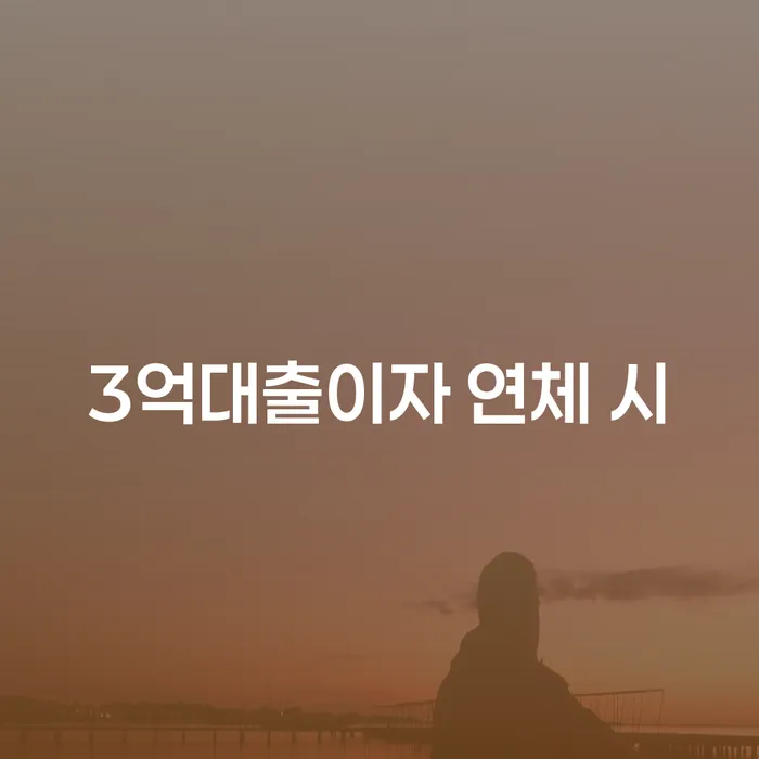 신용불량자자동차 개인회생 결정이나고