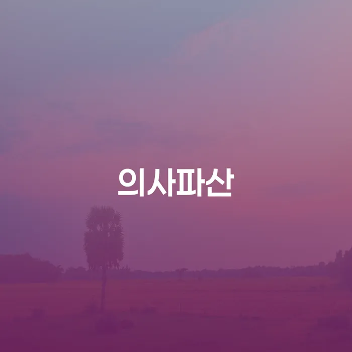 개인회생및파산 대출 받은 돈채무조정 무료로 확인하는 방법