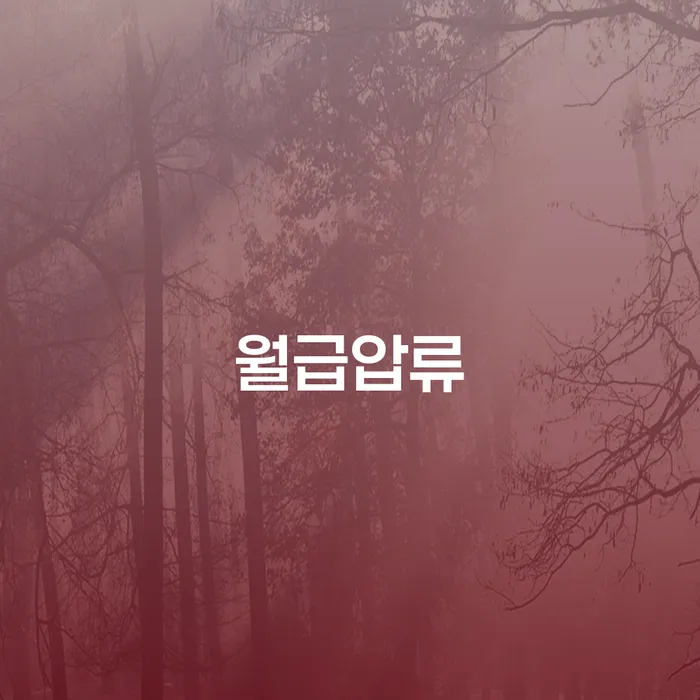 채무자대리인 개인회생 문제해결방법 최선의 선택