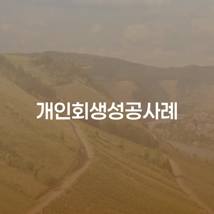 개인회생인가결정 빚 해결할 해결하고 싶다면