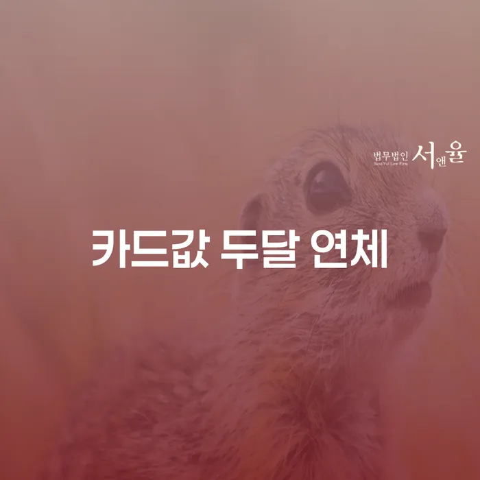 군포시 대출미납 개인회생 추천하는 법률사무소