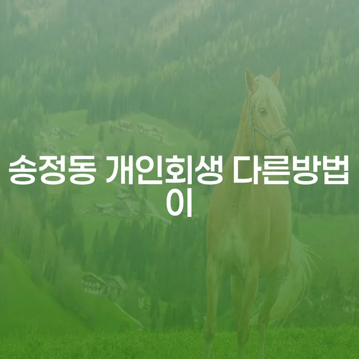 송정동 개인회생 다른방법이