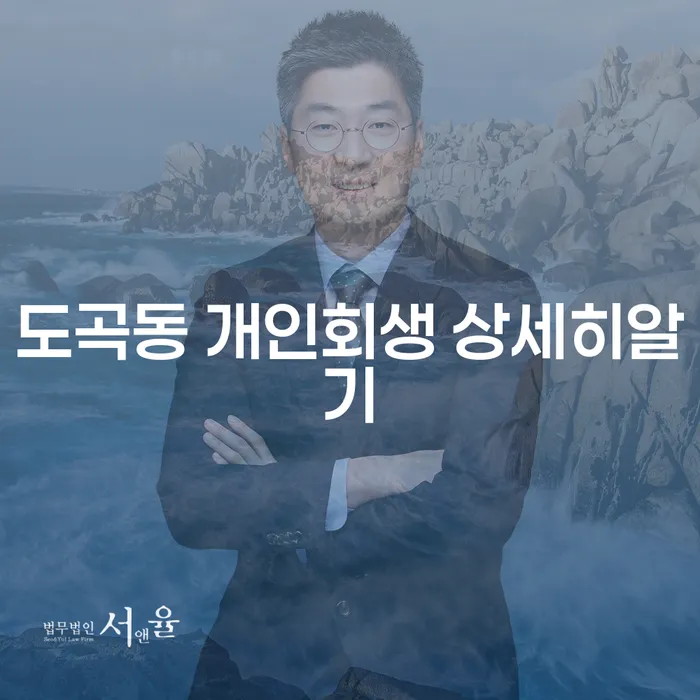 도곡동 개인회생 상세히알기