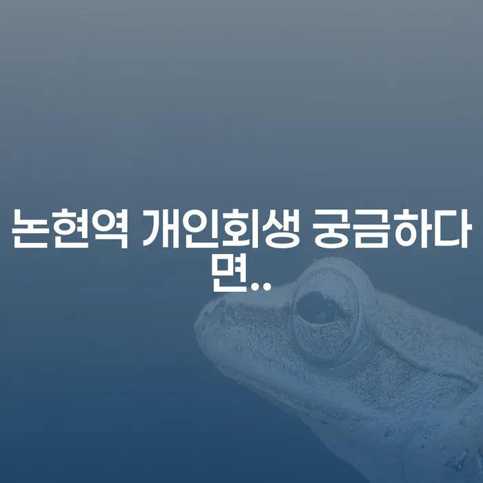 논현역 개인회생 궁금하다면..