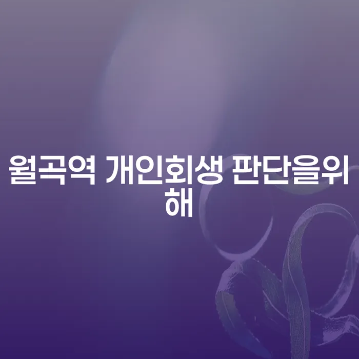 월곡역 개인회생 판단을위해