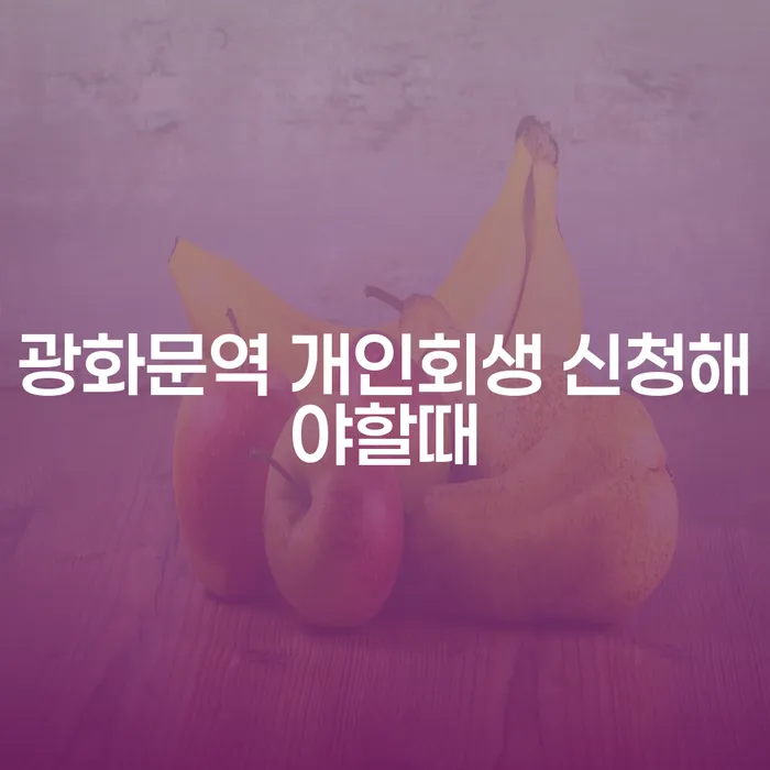 광화문역 개인회생 신청해야할때