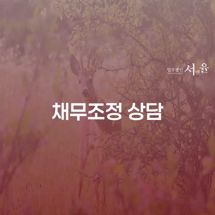 채무조정 상담, 정말 필요한 이유는 무엇일까요?