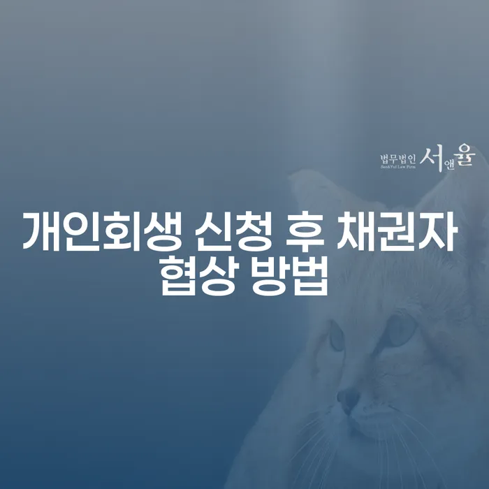 개인회생 신청 후 채권자 협상, 어떻게 해야 할까요?