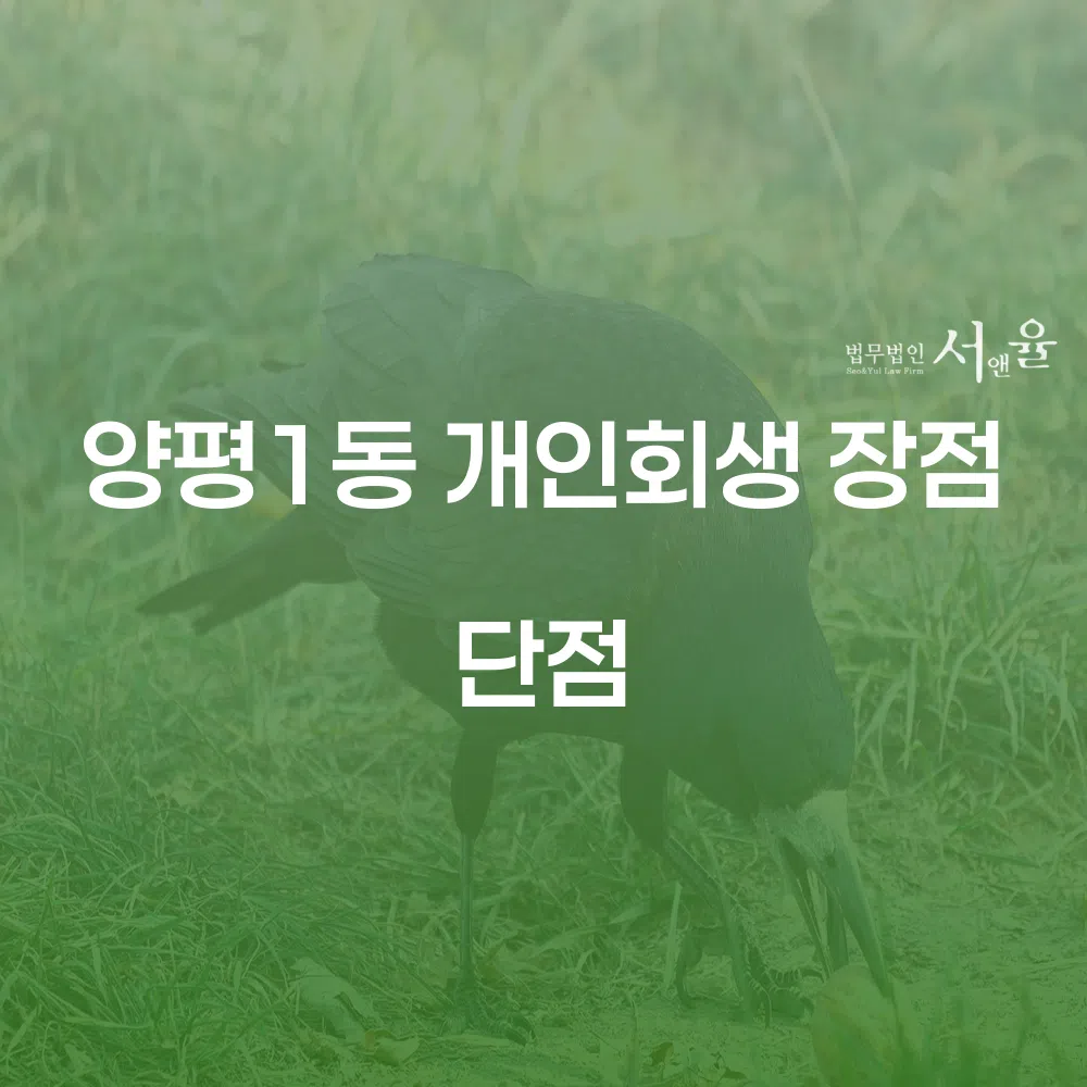 양평1동 개인회생의 장점과 절차 이해하기
