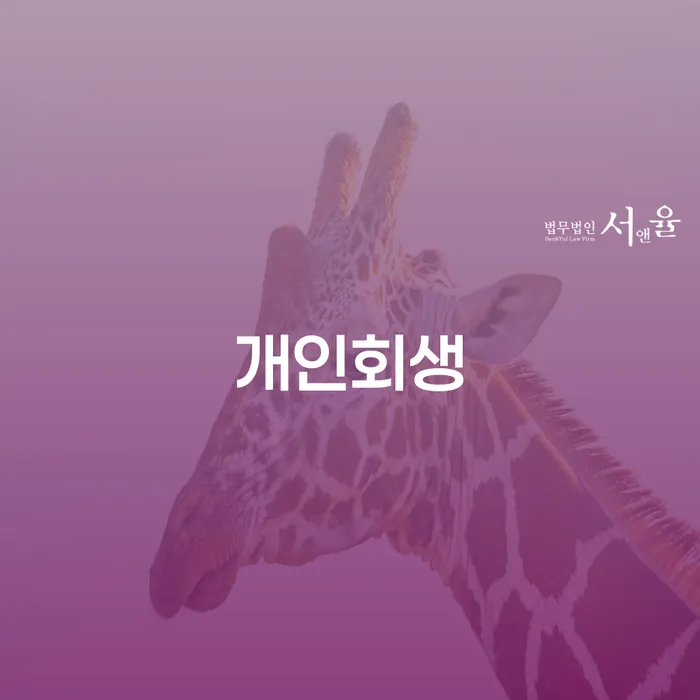 포천 개인회생을 통한 부채 문제 해결 방안