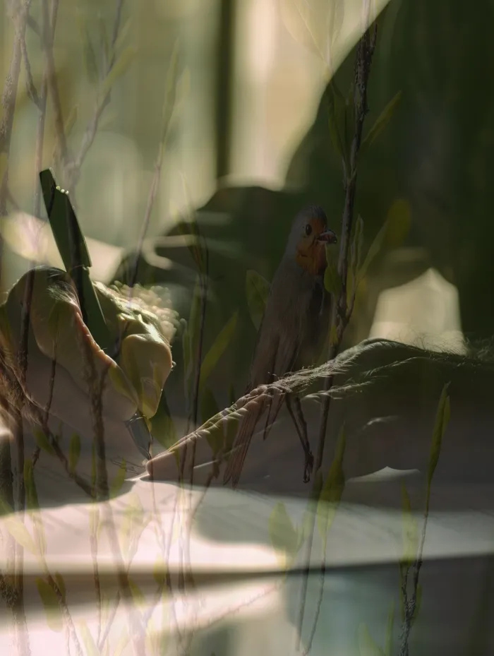 성공적인 채무 해결 사례