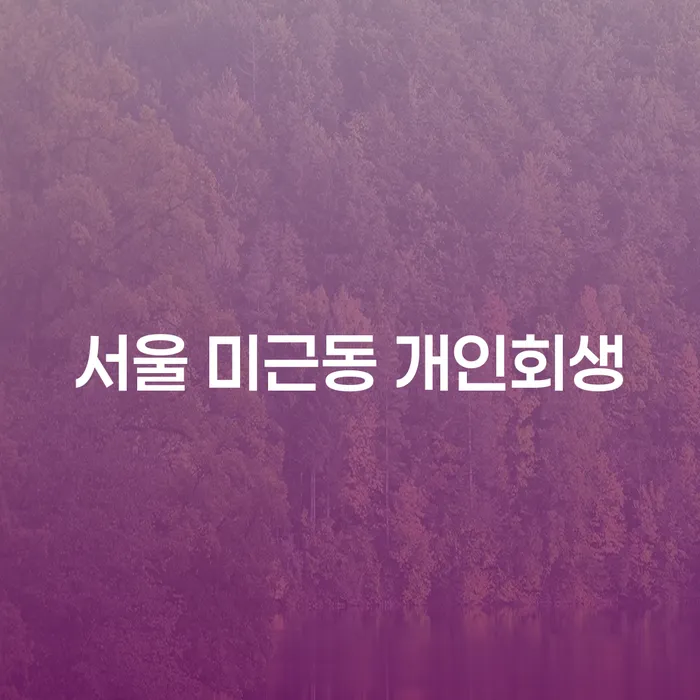 서울 미근동 개인회생은 어떻게 해야 할까요?