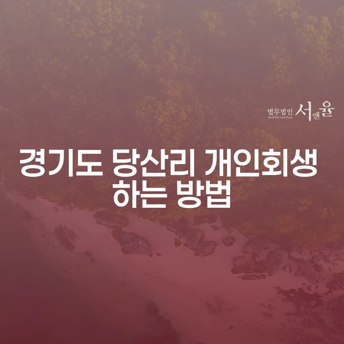 경기도 당산리에서 개인회생을 성공적으로 하는 방법은?
