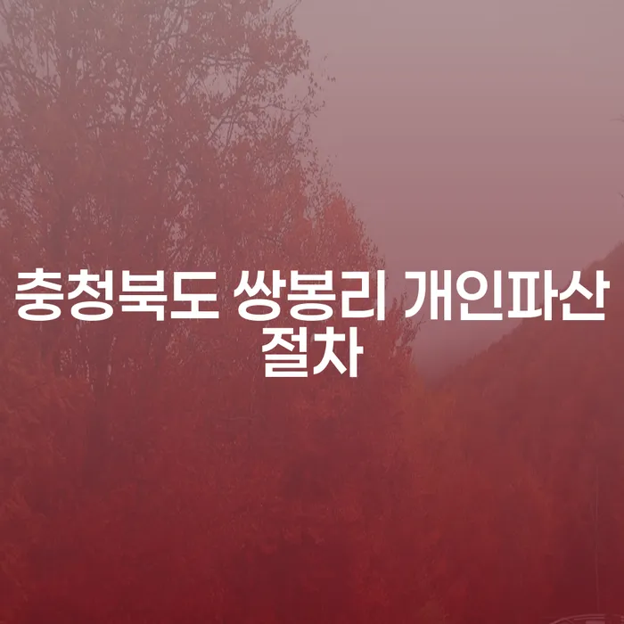 충청북도 쌍봉리에서 개인파산절차를 어떻게 시작해야 할까요?