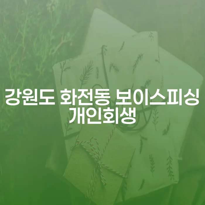 강원도 화전동 보이스피싱으로 인한 채무, 개인회생으로 해결할 수 있을까요?