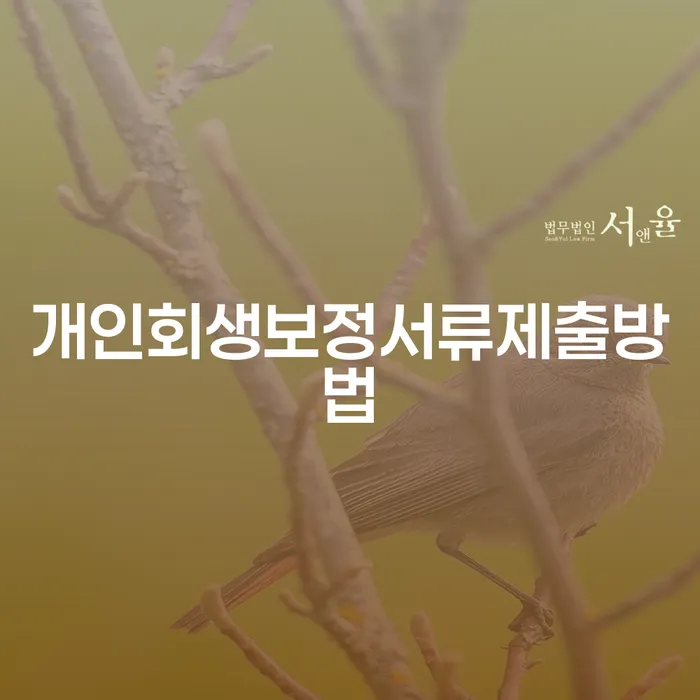 개인회생보정서류제출방법이 궁금한가요? 영동군 도산전문변호사에게 물어보세요!